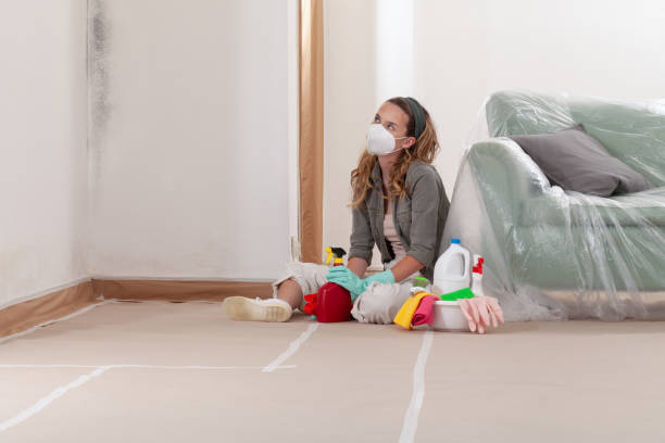 Reliable Mold Remediation contractor in Keasbey, NJ by Cheap Mold Removal